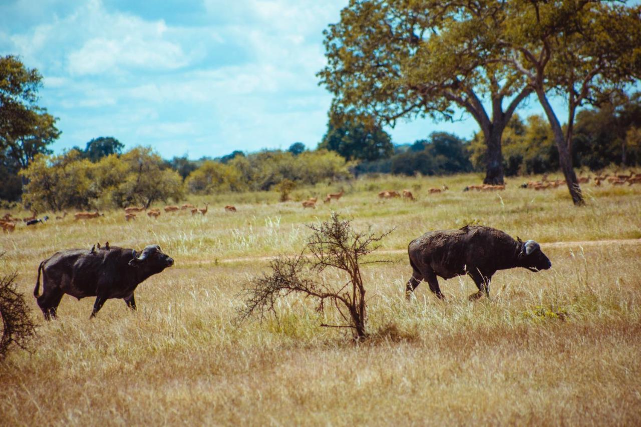 Serengeti Kamwene Mnyalukolo Tented Camp Nyabogati Bagian luar foto