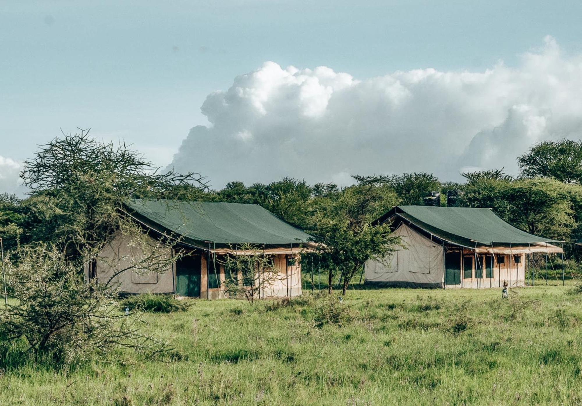 Serengeti Kamwene Mnyalukolo Tented Camp Nyabogati Bagian luar foto